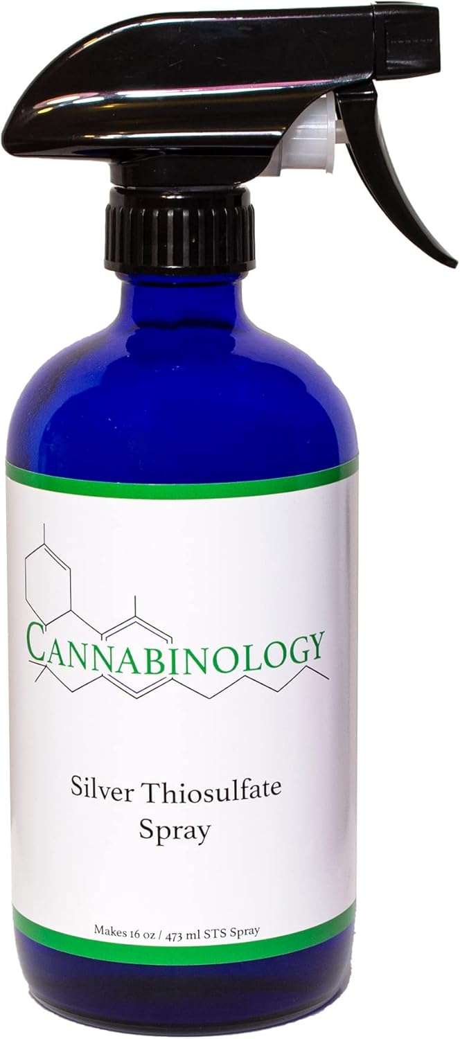 Please write a complete, SEO-friendly article outline for the above title. The outline should: 1. Be structured professionally, as if written by an expert in the field 2. Clearly demonstrate Experience, Expertise, Authoritativeness, and Trustworthiness (E-E-A-T) 3. Follow Google’s latest SEO guidelines, with potential to rank well and appear in Google Discover 4. Be genuinely helpful and solve a real problem or fulfill a specific need for the target audience 5. Start with a strong, attention-grabbing introduction or hook 6. Be fully aligned with the search intent behind the focus keyword 7. Be designed as a skyscraper-level article — more valuable, comprehensive, and informative than existing content 8. Be suitable for a final article length of 2000+ words The outline should include all key sections, subheadings (with H2s and H3s), and any additional elements (like tips, examples, FAQs, or expert insights) that enhance readability, authority, and SEO value.