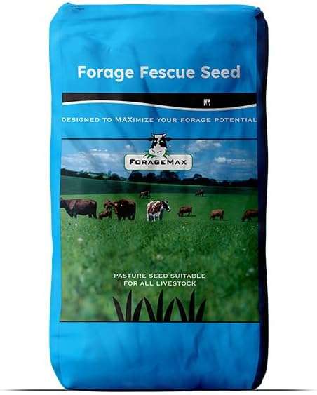 Outsidepride Forage Tall Fescue Grass Seeds - 50 lb. Perennial, Drought-Tolerant & Easy to Grow, Pasture Seeds for Planting Soft & Abundant Grass, Great for Grazing Livestock & Hay Production