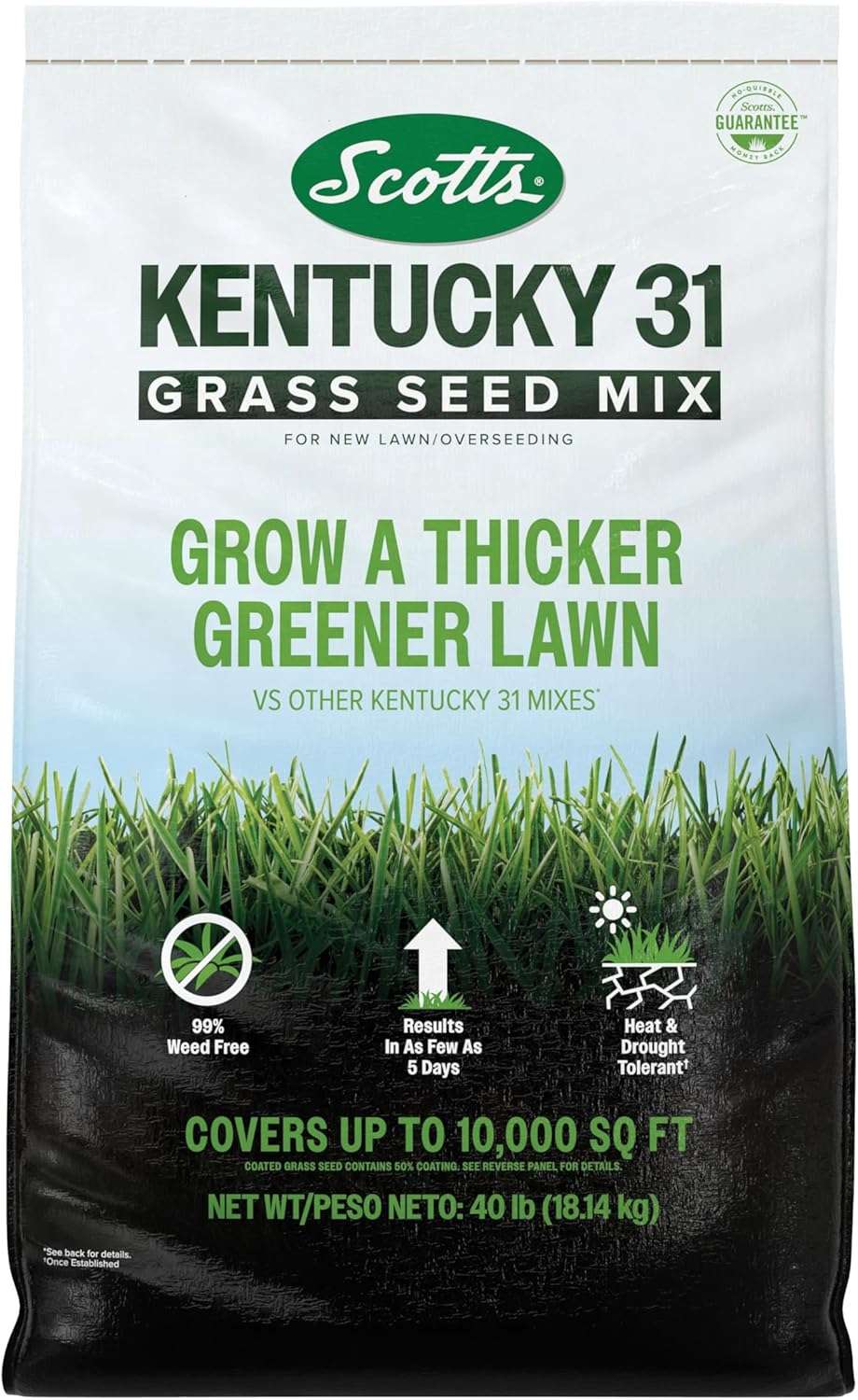 Scotts Kentucky 31 Grass Seed Mix for New Lawns or Overseeding, Grows Thicker and Greener vs. Other Kentucky 31 Mixes, Covers up to 10,000 sq. ft.