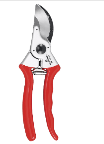 Corona BP 6250 Forged Steel Aluminum Handles Bypass Hand Pruner - 1 inch Cut Capacity Stem and Branch Garden Shears, Red