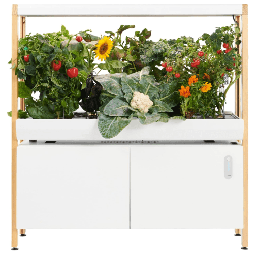 Rise Gardens 1 Level Garden | Hydroponics Growing System, Wi-Fi & App Controlled Indoor Garden with Growing Lights & Self-Watering System | Cloud