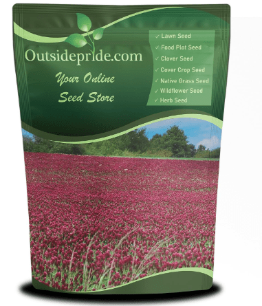 Outsidepride Crimson Clover Seeds - 5 lbs. Annual, Nitrocoated, & Inoculated Ground Cover Seeds, Ideal Clover Seed for Lawn, Cover Crop, Pasture, Hay, Green Manure & Wildlife Forage