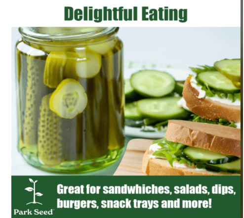 Park Seed Variety of Cucumber Seeds, Planting Cucumbers, Vegetable Seeds, Easy to Grow, Non-GMO, Perfect for Harvesting, Mini-Me F1 Organic, Pack of 10