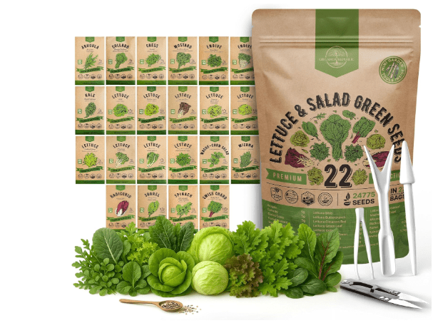 Organo Republic 22 Lettuce & Salad Greens Seeds Variety Pack 24,700+ Non-GMO Heirloom Lettuce Seeds for Indoor & Outdoor Garden, Hydroponics, Aerogarden - Arugula, Kale, Spinach, Swiss Chard, Lettuce