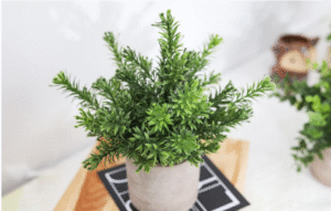 Der Rose 3 Pack Mini Potted Fake Plants Artificial Plastic Eucalyptus Plants Centerpieces for Table Home Office Desk Accessories Farmhouse Room Classroom Decor