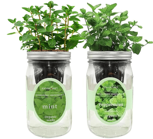 2-Pack Hydroponic Mason Jar Herb Garden Kit, Indoor Herb Garden Self-Watering Starter Kit (Mint,Peppermint)