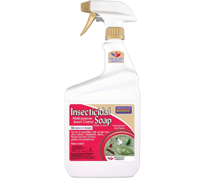 Bonide Insecticidal Soap, 32 oz Ready-to-Use Spray Multi-Purpose Insect Control for Organic Gardening Indoor and Outdoor 