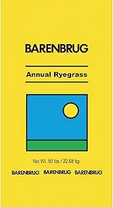 BARENBRUG USA 491087 50 lb Ann Ryegrass Seed