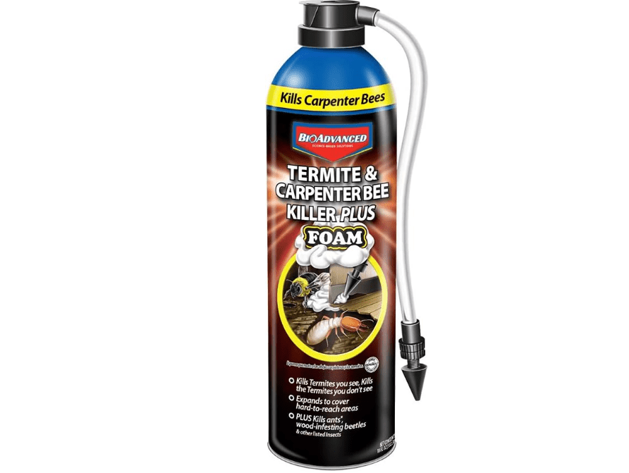 BioAdvanced Termite and Carpenter Bee Killer Plus, Foam, 18 oz