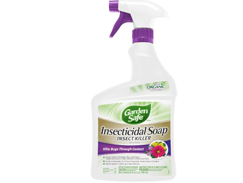 Garden Safe 32 oz. Insecticidal Soap Ready-to-Use, 1 Count (Pack of 1)