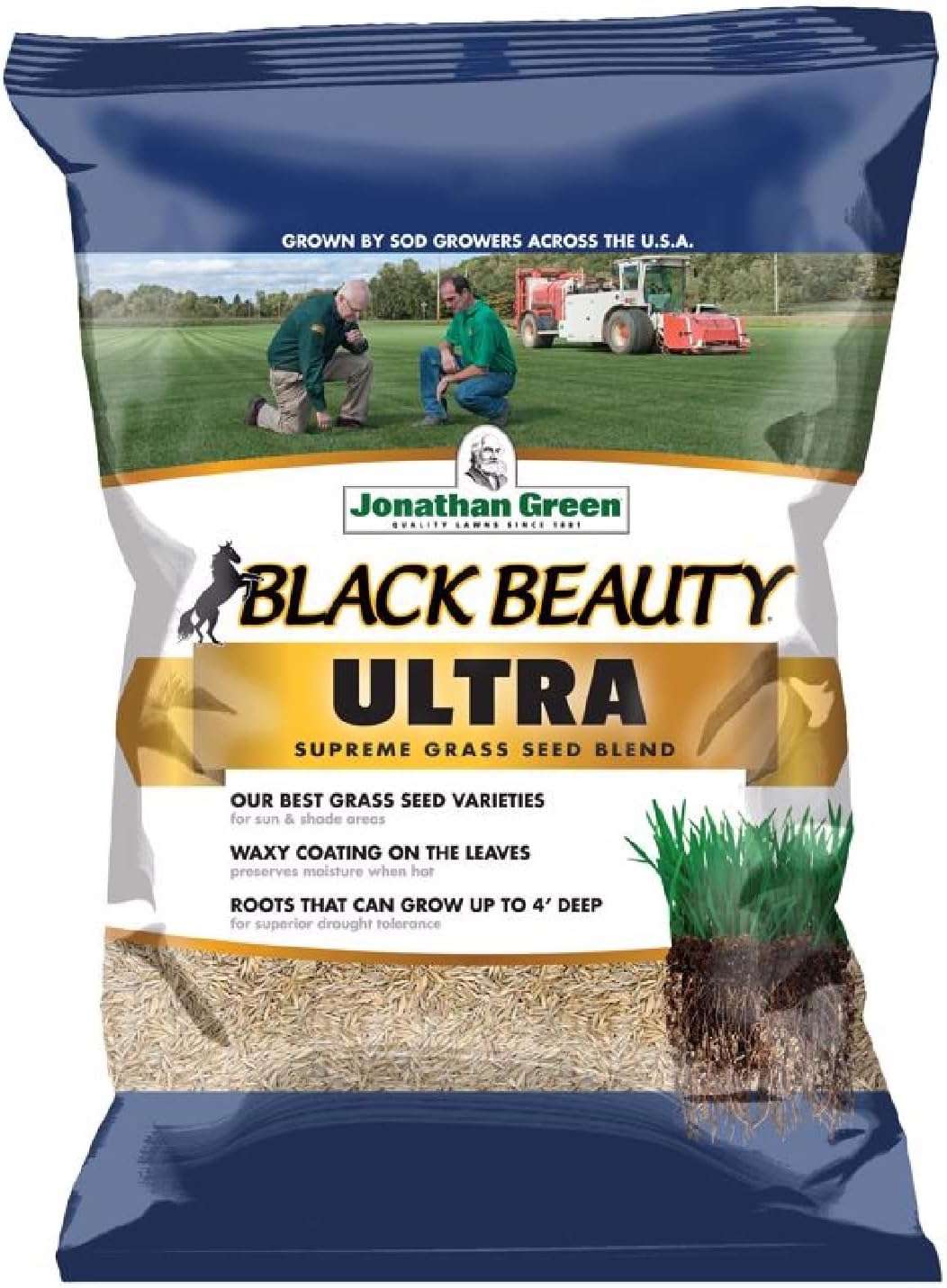 Jonathan Green (10323) Black Beauty Ultra Grass Seed - Cool Season Lawn Seed (25 lb)