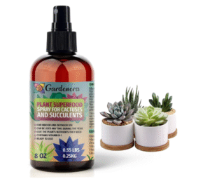 𝐁𝐄𝐒𝐓𝐒𝐄𝐋𝐋𝐄𝐑 Plant Superfood for Succulents & Cactus Plants with B1 Vitamin, Glucose and Essential Minerals - Organic Plant Food Fertilizer for Indoor & Outdoor Succulents - 8oz