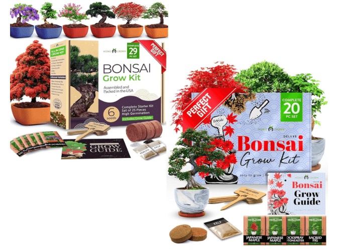 HOME GROWN Bonsai Tree Kit - 6 Seed Varieties & Premium Ceramic Starter Kit with 4 Bonsai Varieties - Unique New Year Gift for Men, Women, Gardeners & Plant Lovers