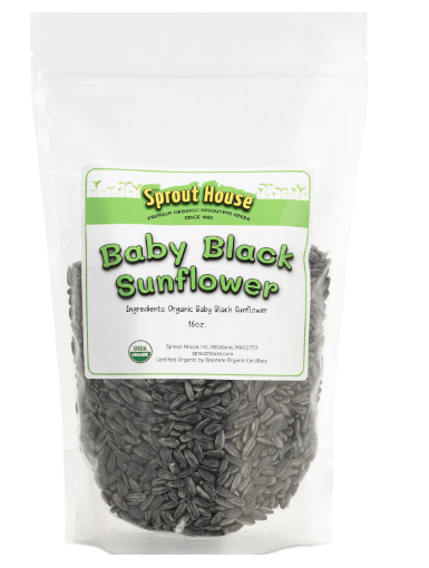 The Sprout House Sunflower Seeds 1LB - Certified Organic Black Oil Sunflower Seeds - Fast Growing- high yielding - NonGMO - Grow Sunflower Shoots Easily
