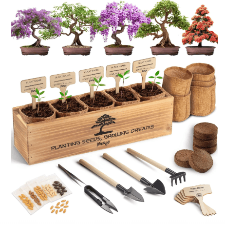 AVERGO Bonsai Tree Kit for Beginners – 5X Unique Japanese Bonzai Trees | Complete Indoor Starter Kit for Growing Plants with Bonsai Seeds, Tools & Planters – Gardening Gifts for Women & Men