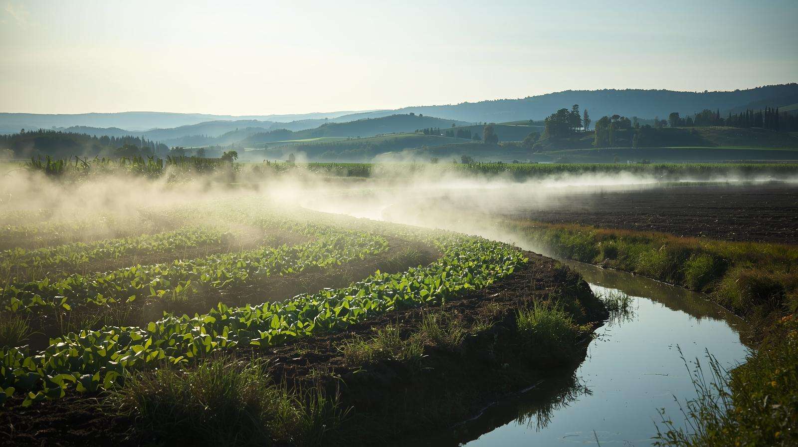 Farmer inspecting termite bait station in crop field for pest monitoring.