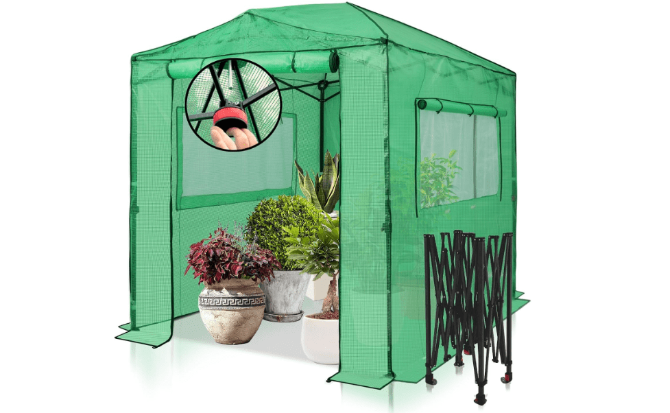 EAGLE PEAK Instant Pop-up Greenhouse, Indoor Outdoor Plant Gardening Green House, Roll-Up Zipper Doors and Side Windows, Walk in 8x6 ft, PE Cover, Green/Clear 