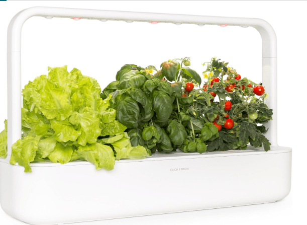 Click & Grow Indoor Herb Garden Kit with Grow Light | Easier Than Hydroponics Growing System | Smart Garden for Home Kitchen Windowsill | Vegetable & Herb Garden Starter Kit with 9 Plant pods, White