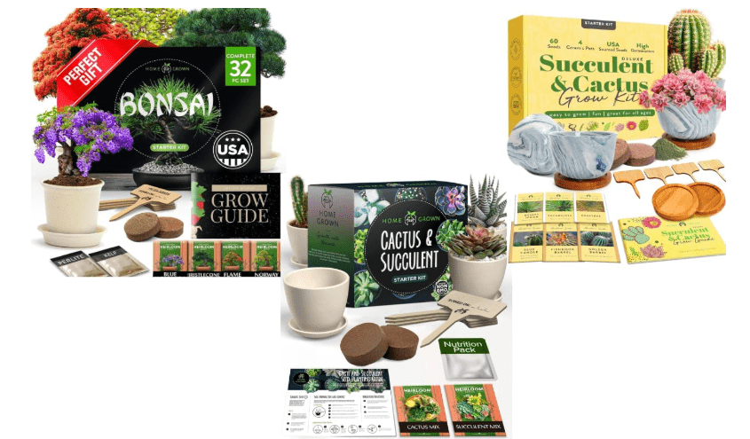 Bonsai Tree Kit, Grow Your Own: Premium 4 Bonsai Trees Starter Kit &HOME GROWN Succulent & Cactus Seed Kit for Planting – Premium Cactus & Deluxe Succulent & Cactus