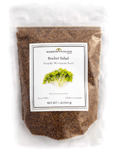 Arugula Microgreen Seeds Bulk 1 LB Resealable Bag | Spicy & Flavorful Greens | Non GMO Heirloom Seeds | Rocket Salad by Rainbow Heirloom Seed Co.