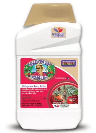 Bonide Captain Jack's Deadbug Brew, 32 oz Concentrate Outdoor Insecticide and Mite Killer for Organic Gardening