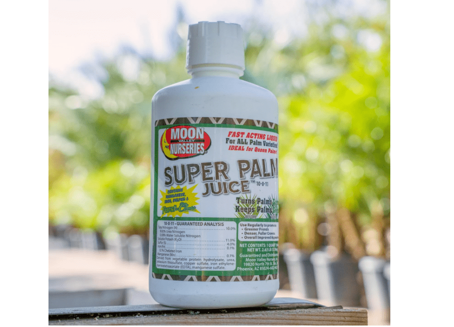 Super Palm Juice - Palm Tree Fertilizer - 1 Quart