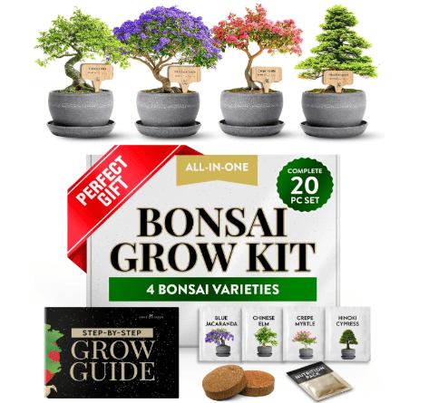 HOME GROWN Bonsai Tree Kit – Grow 4 Bonsai Types Indoors with Complete Starter Kit Including Pots Peat Pellets and Bonus Grow Guide – Unique Gardening Gift for Men Women Beginners