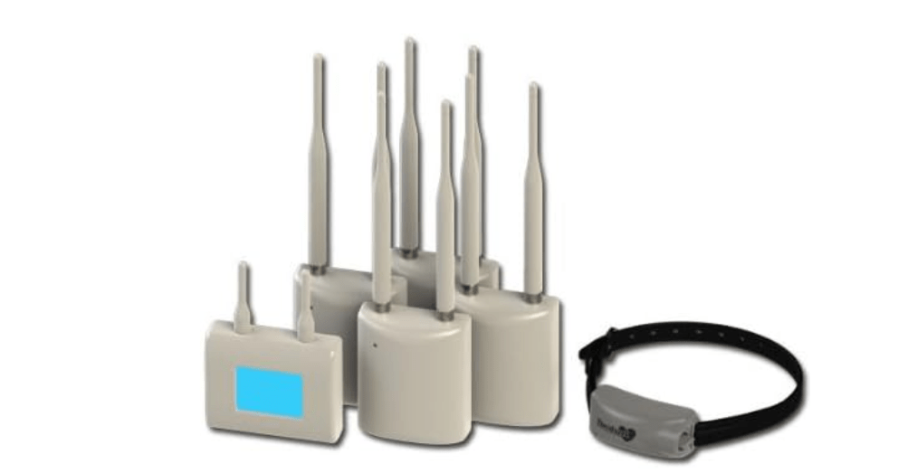 Custom Shaped Dog Fence System