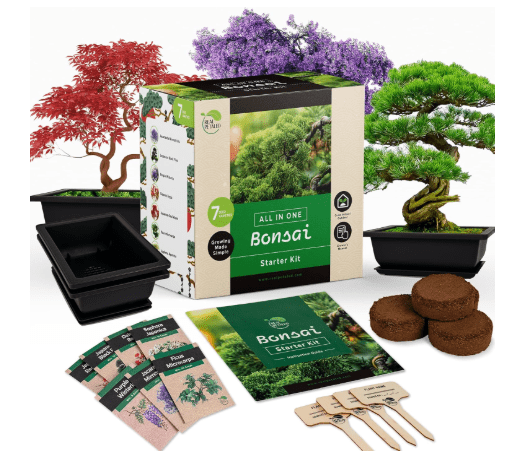 Bonsai Starter Kit – Japanese Bonsai Tree Kit 7 Seeds Pots – Complete Grow Your Own – Plant Lover Gifts Home Gifts for Men and Women