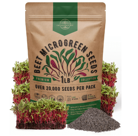 Organo Republic Beet Sprouting & Microgreens Seeds - 20,000 Non GMO Heirloom Seeds, Sprouts in Bulk 1lb Resealable Bag for Planting and Growing in Soil, Coconut Coir, Aeroponic & Hydroponic System
