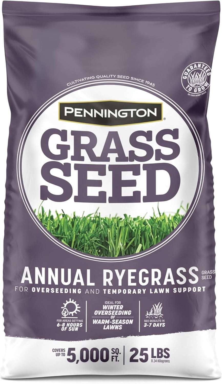 Pennington Annual Ryegrass Retail Bag to Overseed Warm Season Grasses, 25 lb