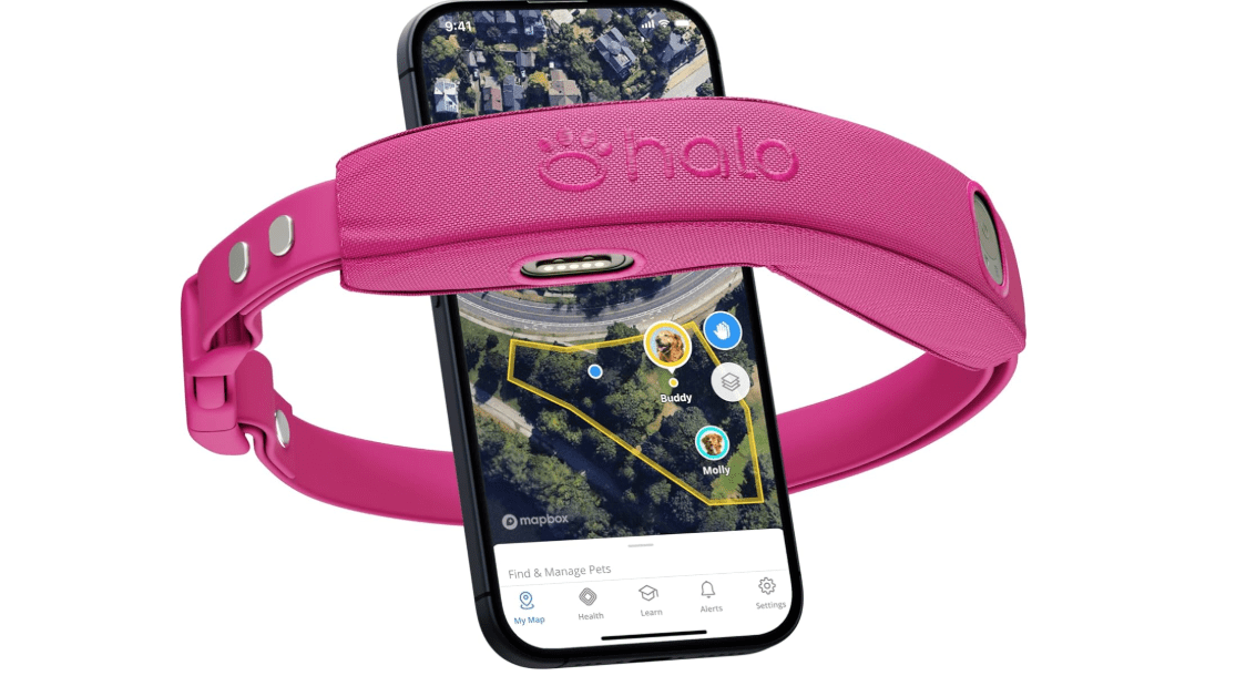 Halo Collar 4, GPS Wireless Dog Fence & Dog Training Collar with GPS Tracker, Subscription Required, Waterproof, Orchid, One Size