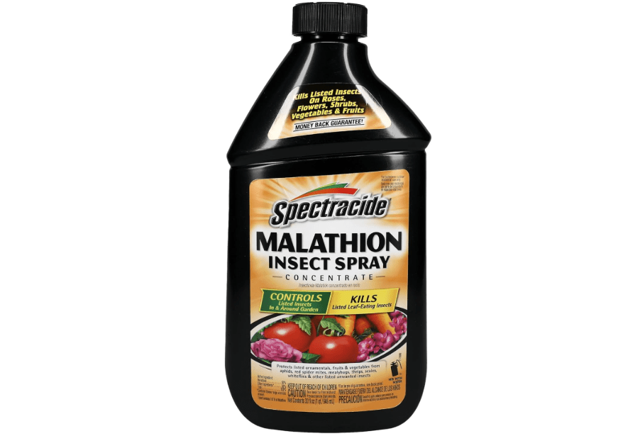 Spectracide Malathion Insect Spray Concentrate, 32 Ounces, Kills Listed Leaf-Eating Insects In The Garden To Protect Flowers, Shrubs, Fruits And Vegetables, Pack of 1