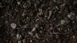 Horticultural grit​