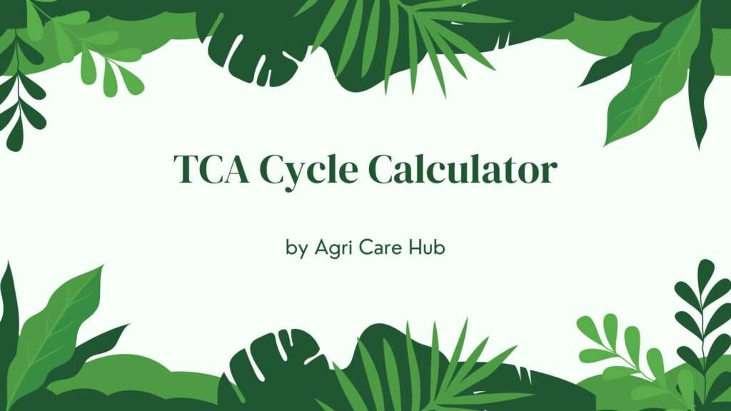TCA Cycle Calculator