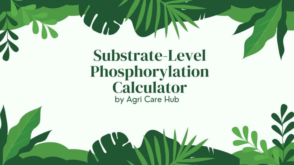 Substrate-Level Phosphorylation Calculator
