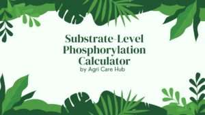 Substrate-Level Phosphorylation Calculator