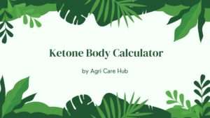 Ketone Body Calculator