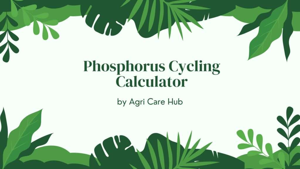 Phosphorus Cycling Calculator