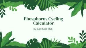 Phosphorus Cycling Calculator