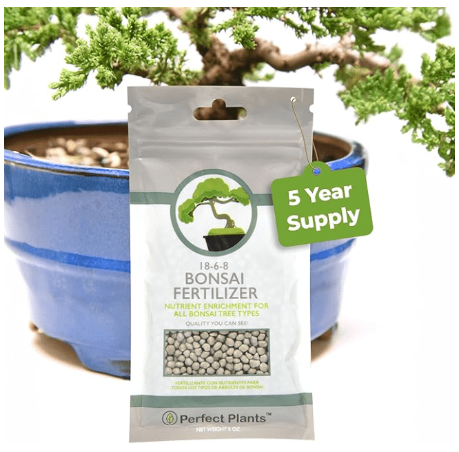 Perfect Plants Bonsai Fertilizer Pellets (Best for Beginners)