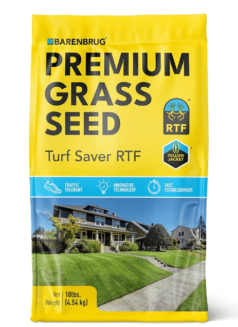 Barenbrug RTF (Rhizomatous Tall Fescue)