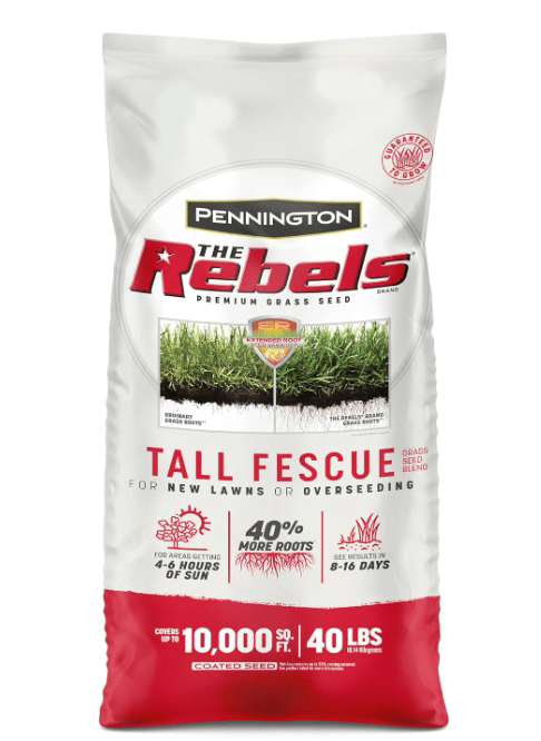 Pennington The Rebels Tall Fescue Blend