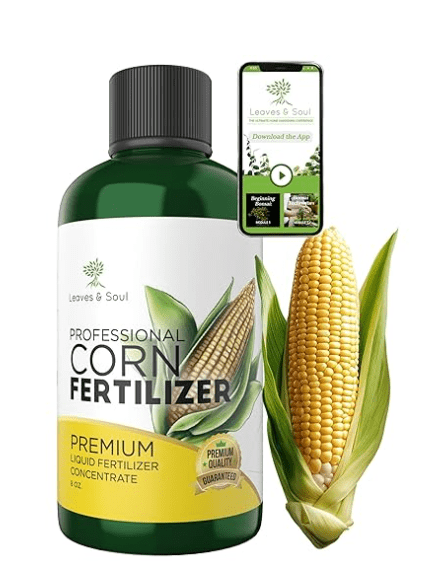 LEAVES AND SOUL Professional Liquid Corn Fertilizer