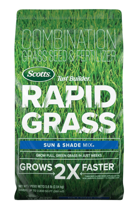 Expert Gardener Sun and Shade Southern Fescue