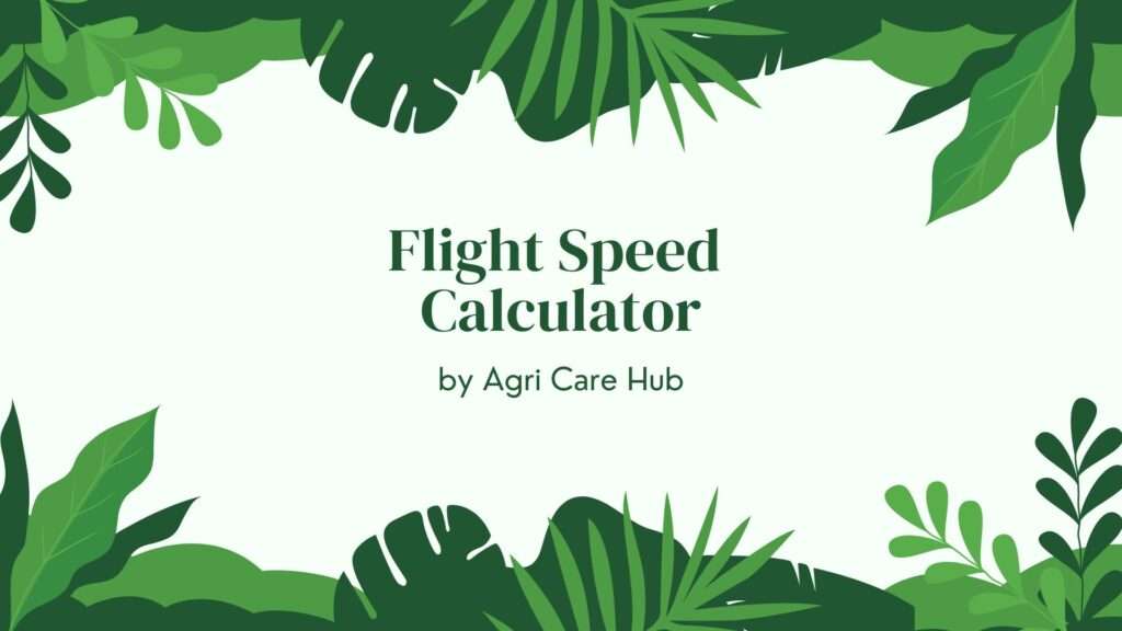 Flight Speed Calculator