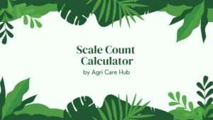 Scale Count Calculator