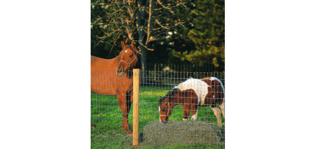 Keystone Steel & Wire 60x100 Horse Fence 