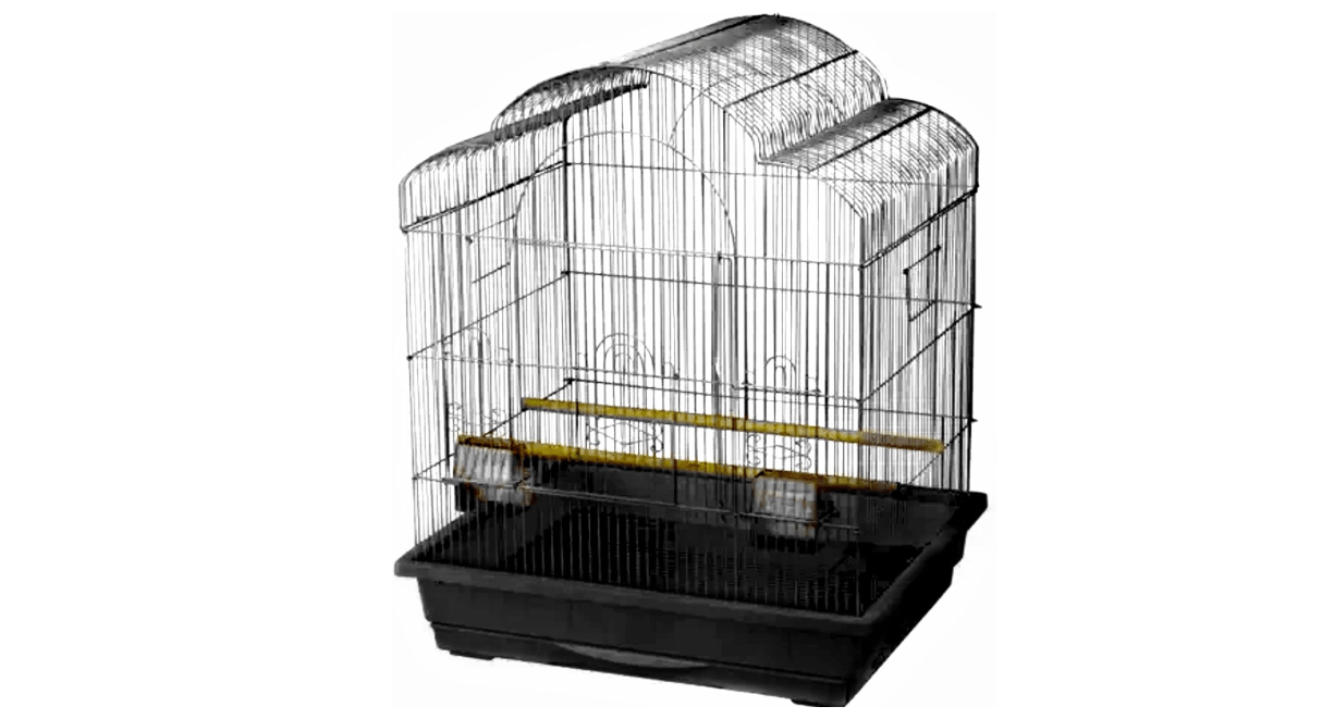 Kings Cages Model ES 2521 T Triple Top Bird Cage 25" x 21" x 30" Powder-Coated Non-Toxic Spacious Cage for Cockatiels Finches Parakeets Canaries and Similar Breeds (Black)
