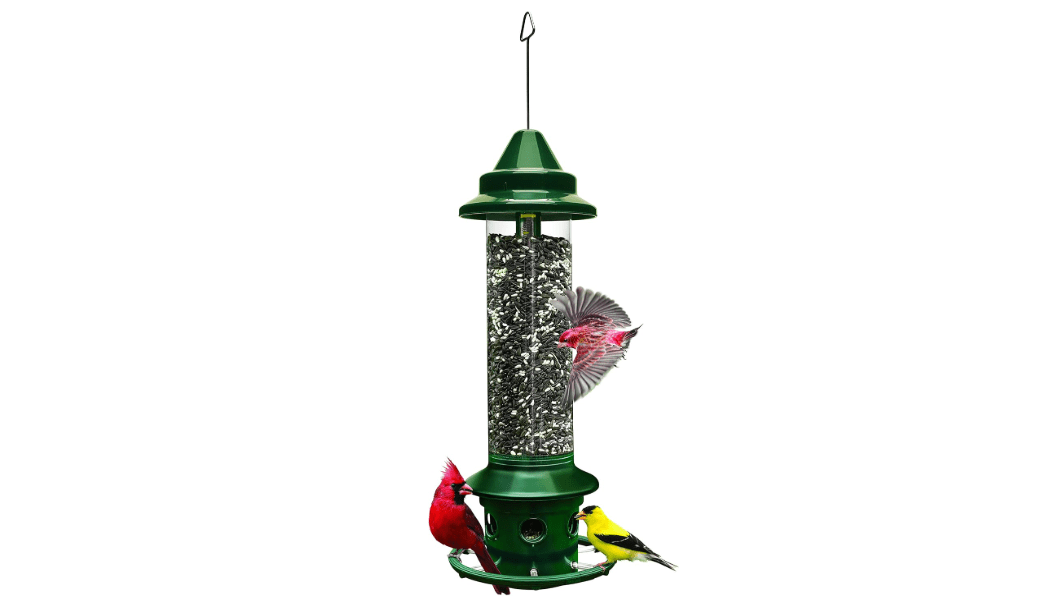 Squirrel Buster Plus Squirrel-proof Bird Feeder w/Cardinal Ring and 6 Feeding Ports, 5.1-pound Seed Capacity, Adjustable, Pole-mountable (POLE ADAPTOR SOLD SEPARATELY), Green
